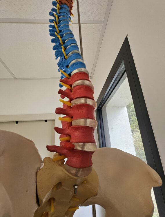 013 imprsssions colonne vertebrale